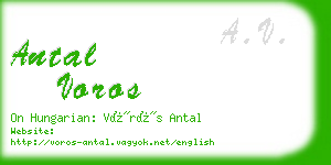 antal voros business card